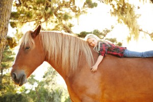 Moore OK Don’t Horse Around - Get A Cosmetic Dentist